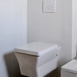 WC suspendus et accessibles